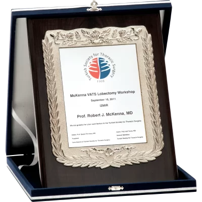 PLAKET AHŞAP KUTULU  VİP PLAKET LX01 A-B